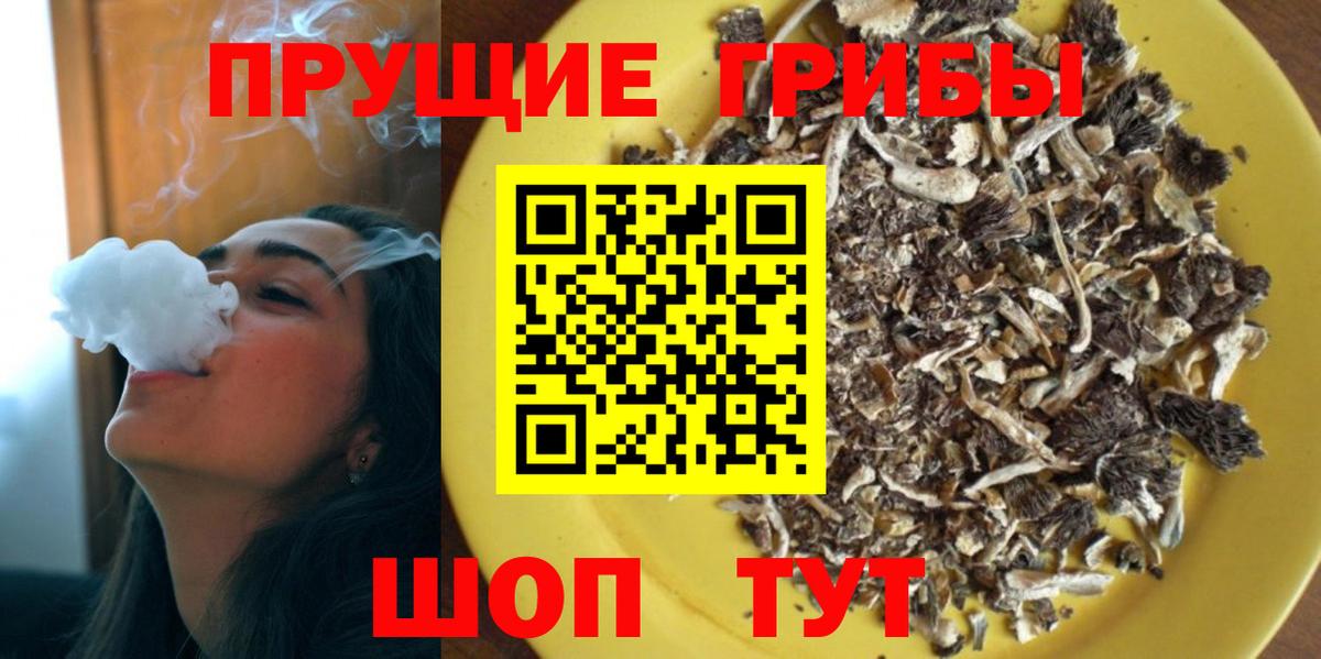 Галлюциногенные грибы Psilocybine cubensis  Вход с VPN  наркота  Новоалександровск 