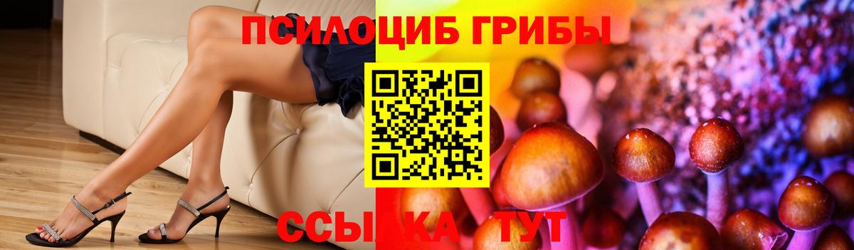 Галлюциногенные грибы мухоморы Новоалександровск